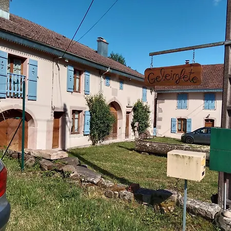 Le Geleinfete Ii Vosges A Proximite De Gerardmer Апартаменты Herpelmont